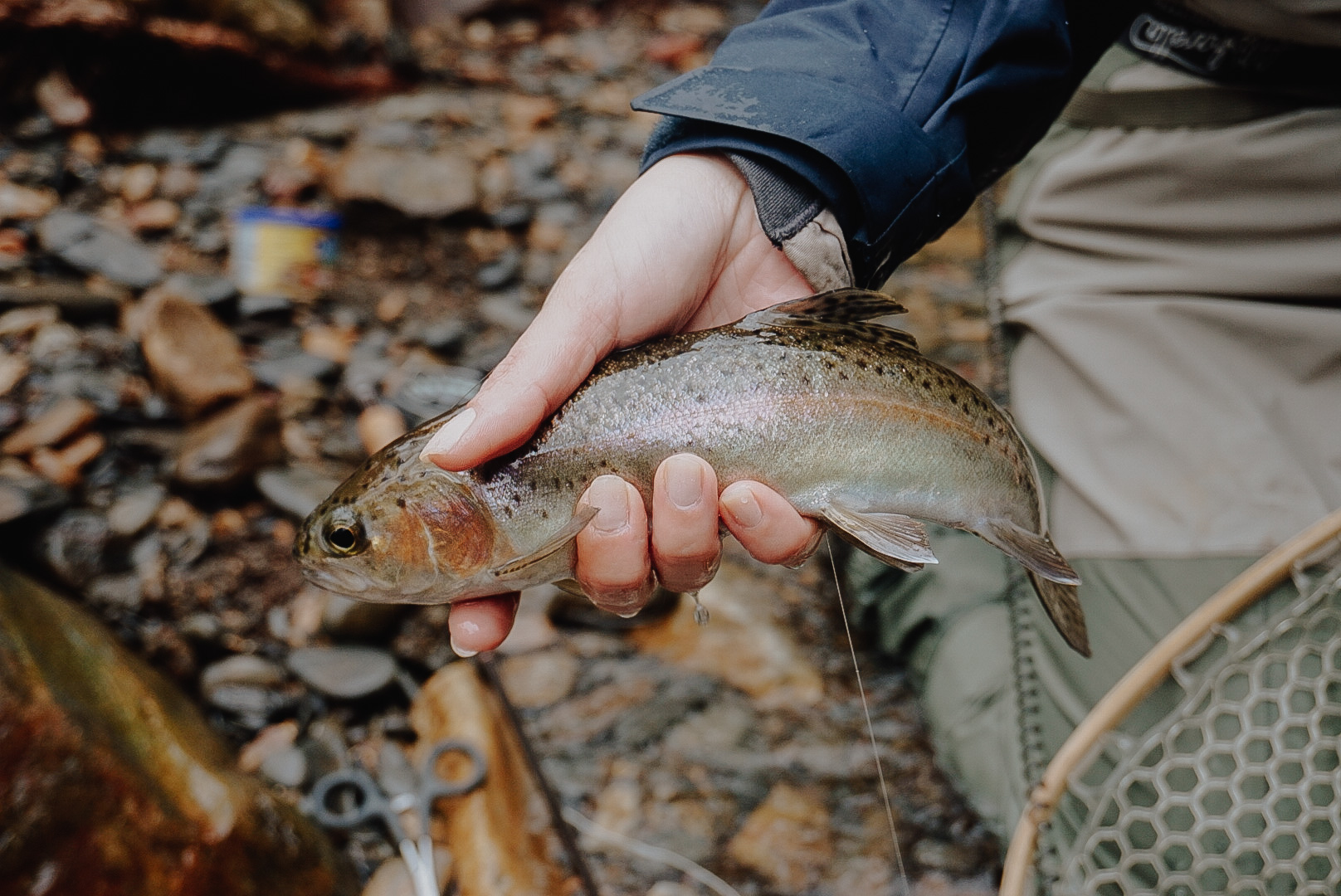 Where to try fly fishing in Atlanta without leaving the city
